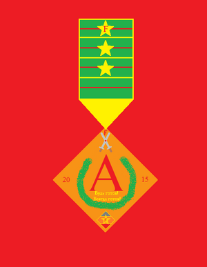 Орден админа 2 степени