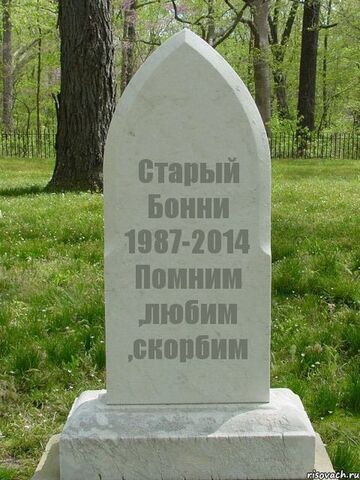 Файл:2EsXkOLEeXc.jpg