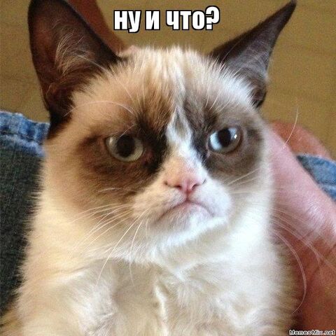 Файл:8xqwlc.jpg