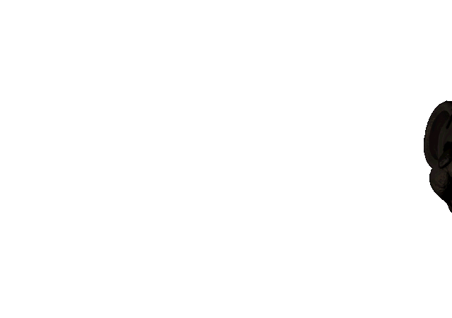 File:Jumpscare Rat 2.gif