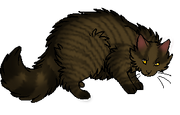 Falconstripe.Rogue
