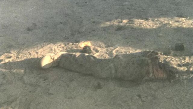 File:1x07 Tracy's Leg.jpg