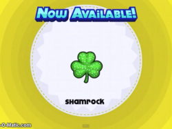Shamrock-0