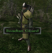 Swadian gaurd