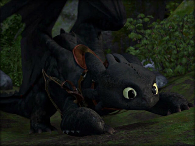 File:Toothless chasing light.jpg