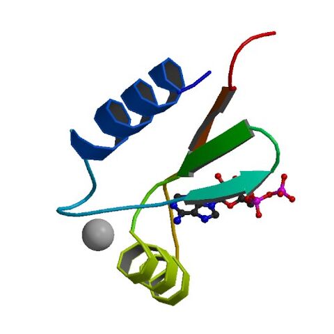 File:1UW1 asym r 500.jpg