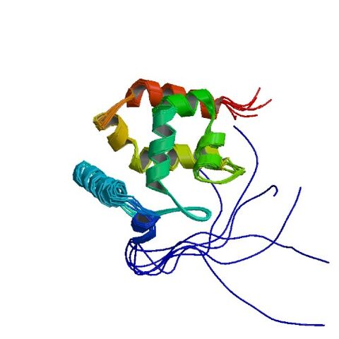 File:2KK0 asym r 500.jpg