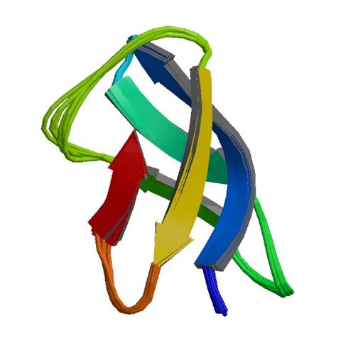 File:1AFP asym r 500.jpg