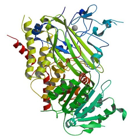 File:1PD1 bio r 500.jpg