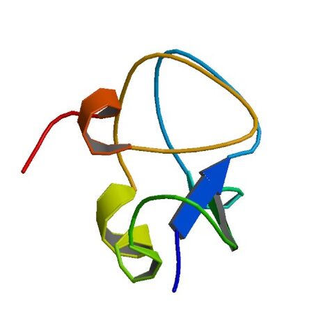 File:1UCS bio r 500.jpg