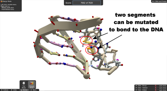 File:Level 8-4 DNA and Protein.png