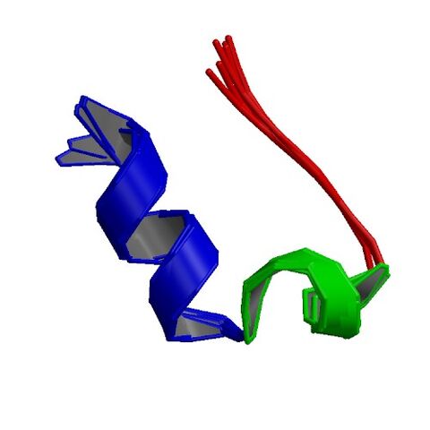 File:1L2Y asym r 500.jpg