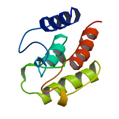 File:1BKR bio r 500.jpg