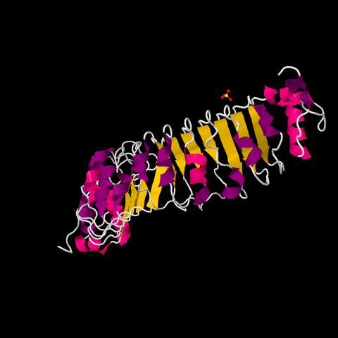 File:4EZG.pdb1.png