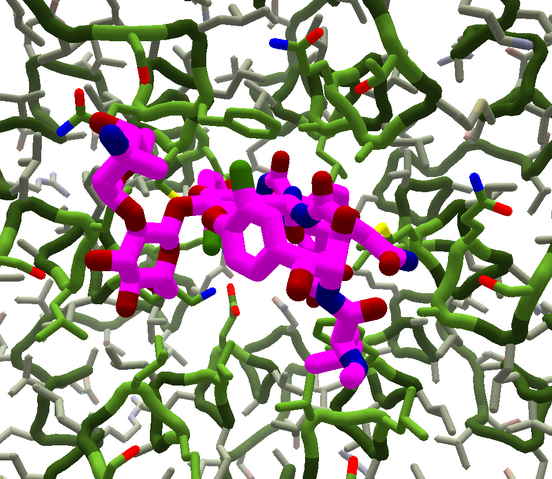 File:Puzzle1076Vancomycin.png
