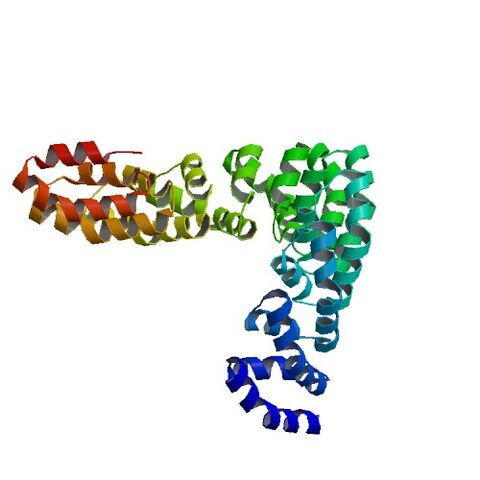 File:3V6P bio r 500.jpg