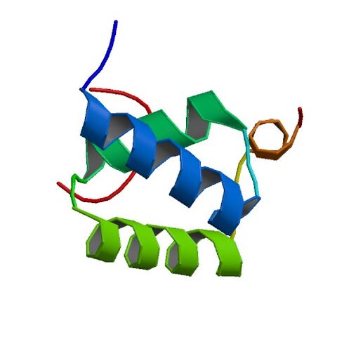 File:1OAI bio r 500.jpg