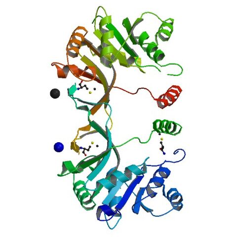 File:4KT7 bio r 500.jpg