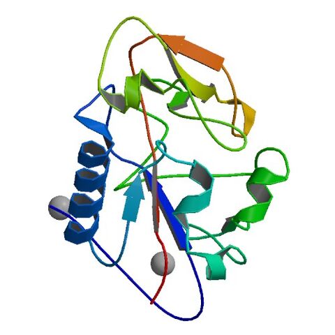 File:1DY1 bio r 500.jpg