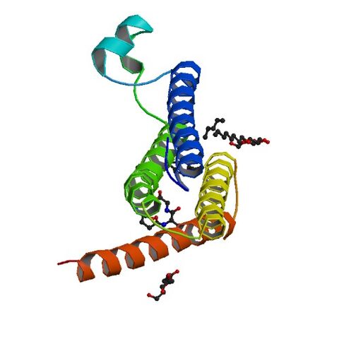 File:4AL0 asym r 500.jpg