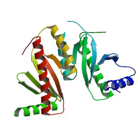 File:3EPU asym r 500.jpg
