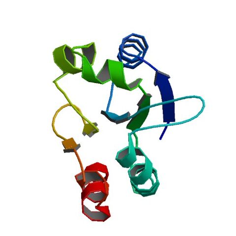 File:1WOU bio r 500.jpg