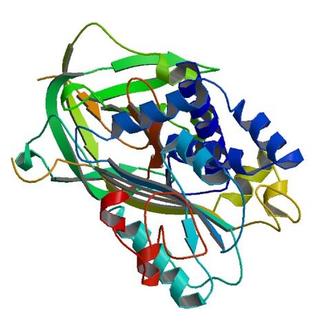 File:1OC0 bio r 500.jpg