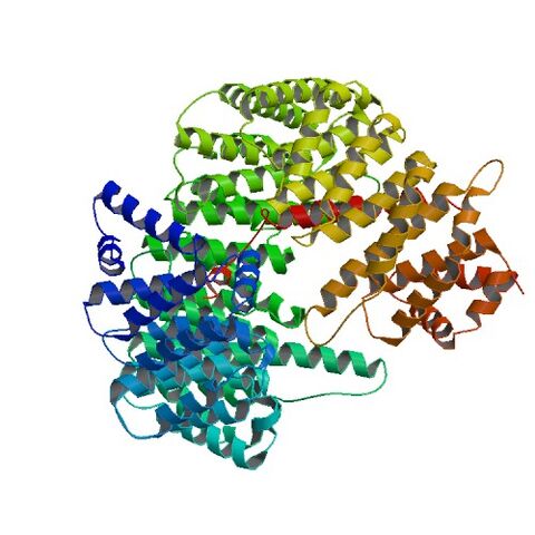 File:2P8Q bio r 500.jpg