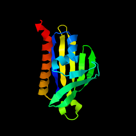 File:2LEQ.pdb.png