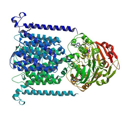 File:4R9U bio r 500.jpg