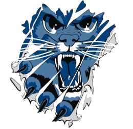 NewMexicoWildcats