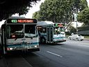128px-Foothill Transit - Orion V buses in Los Angeles