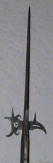 Lucern-hammer