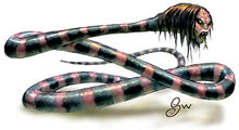Spirit naga