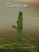 PlantCactopus