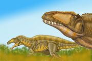 Acrocantosaurus4