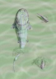 Homostius2DB