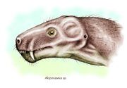 Aloposaurus