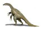 Nothronychus BW2