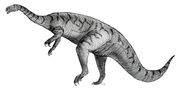 Sketch plateosaurus