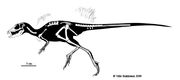Tianyulong skeletal1