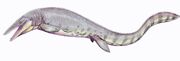 Hainosaurus pemb1DB