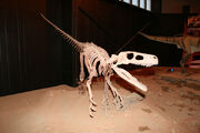 Herrersaur skeletal3