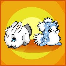 File:Pet.jpg