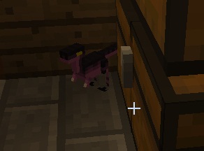 File:Compys purple.jpg