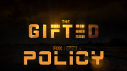 Policy