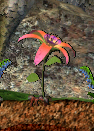 Planterose.png