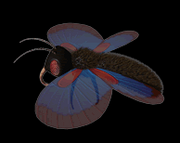 Papillon.png