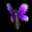 Papillon7.png