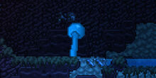 BioSpore1